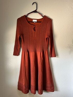 Olive & Oak Women’s Rust-Orange Knit Mini Dress Long Sleeve A Line Chic Office